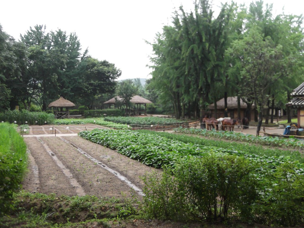 also fields