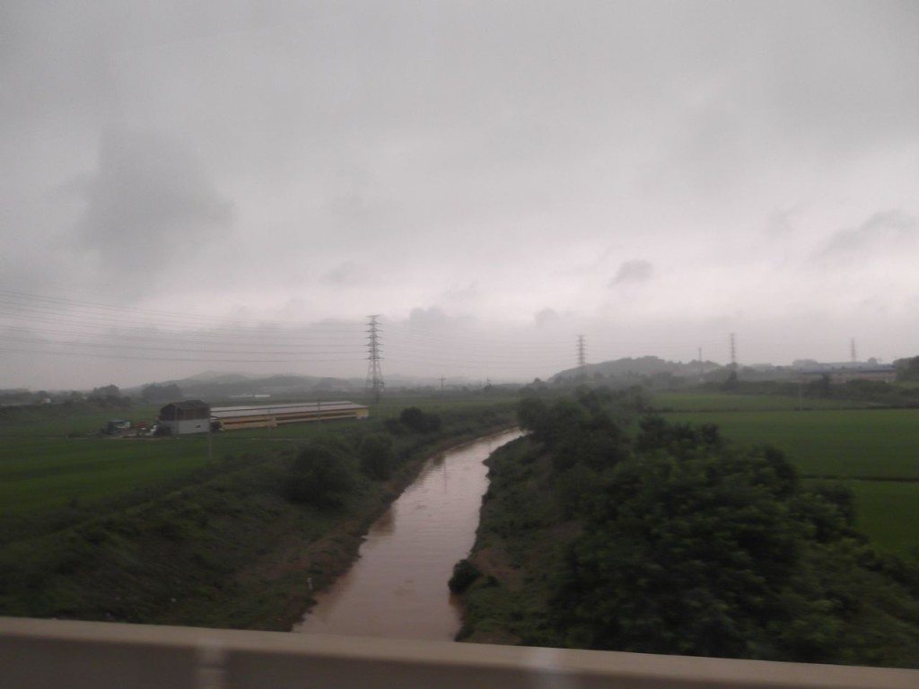 Landscape from the highway,  view from the bus window