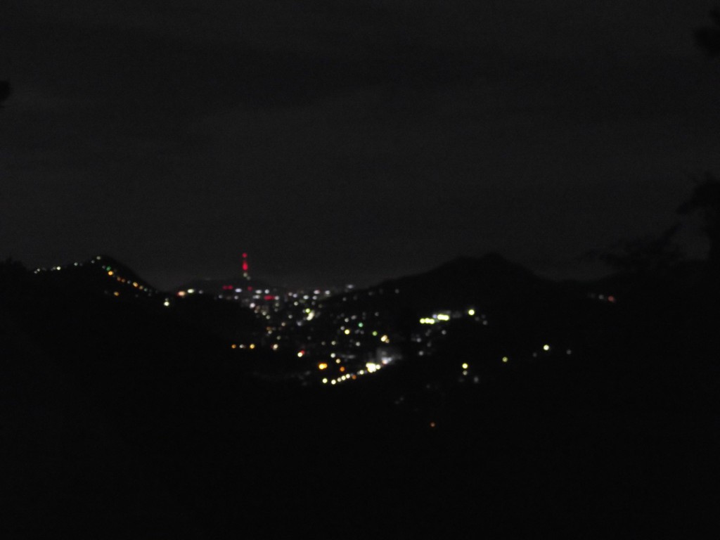 View of Seoul at night